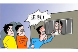 海南为什么选择专业追讨公司来处理您的债务纠纷？